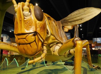 Museum of Science 1