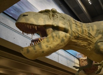 Museum of Science 5