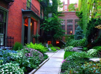 Beacon Hill Backyard