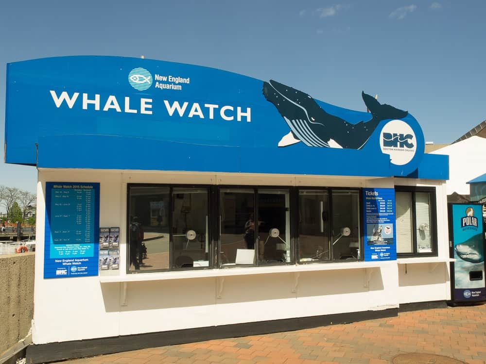 Whale Watch Stand-1